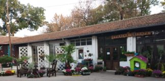 Uskoro Ulica Starih Zanata u Gradskoj Bašti u Nišu Gradska bašta u Tvrđavi; Foto: Novinari Online