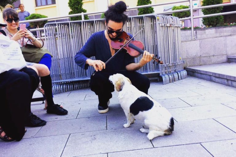Muzika je ljubav: Nemanja Radulović zasvirao i jednom psu