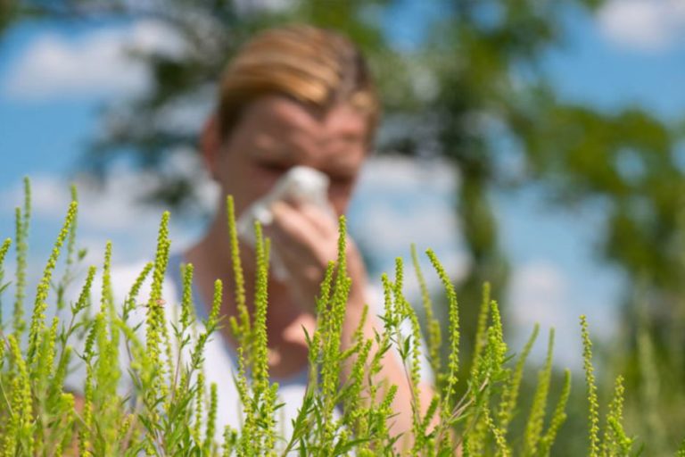Košenje počelo na vreme