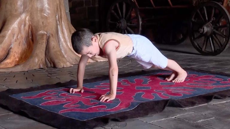 Šestogodišnji dečak uradio 4.445 sklekova i osvojio stan za svoju porodicu (VIDEO)