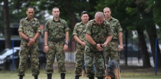 „Specijalci“ na povocu: Dresura pasa za specijalne zadatke u Nišu „Specijalci“ na povocu