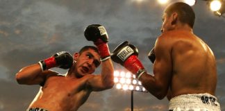 Naissus Boxing Night: Spektakl profi boksa u Nišu Boks; Foto: Pixabay, ilustracija