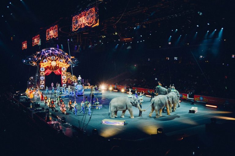 Besplatne predstave cirkusa u Nišu