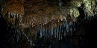 Završena međunarodna speleološka ekspedicija Cerjanska pećina 2019. Cerjanska pećina. Foto: Dragan Šljivić