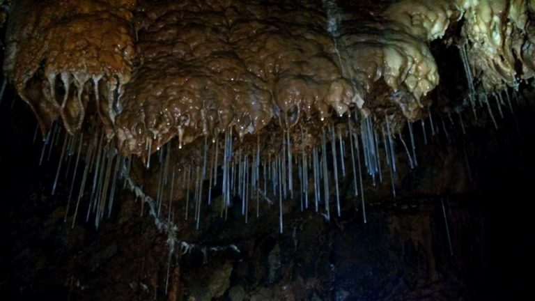 Završena međunarodna speleološka ekspedicija Cerjanska pećina 2019.