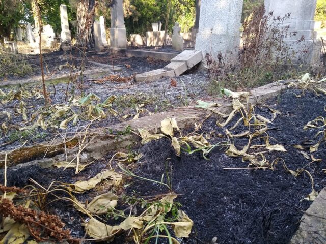 Izgorelo nisko rastinje na Starom groblju u Nišu