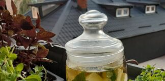 Ko kod bake: Recept za aromatični kozji sir
