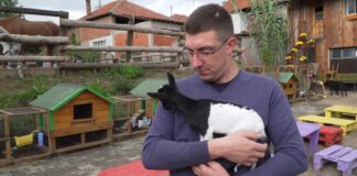 Svaka spašena životinja vredela je neprospavanih noći